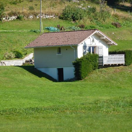 La Bresse Hautes Vosges Chalet "Le Piena" Exteriér fotografie